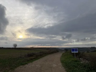 IMG_4558_2.jpg?type=w386