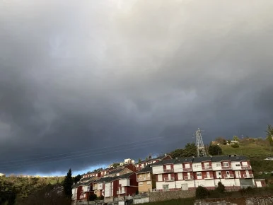 IMG_7208.jpg?type=w386