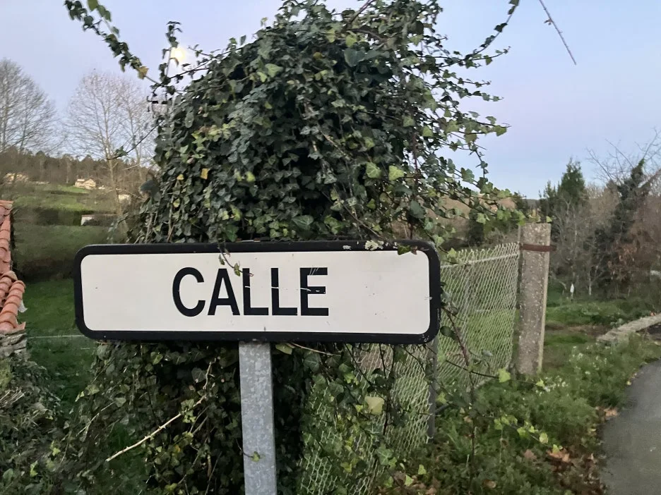 IMG_9505.jpg?type=w1