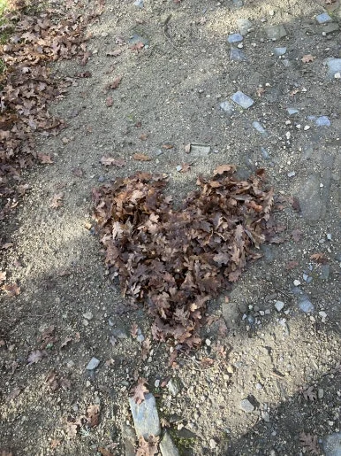 IMG_8345.jpg?type=w386