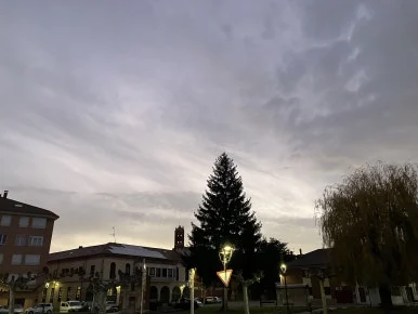 IMG_4906.jpg?type=w386