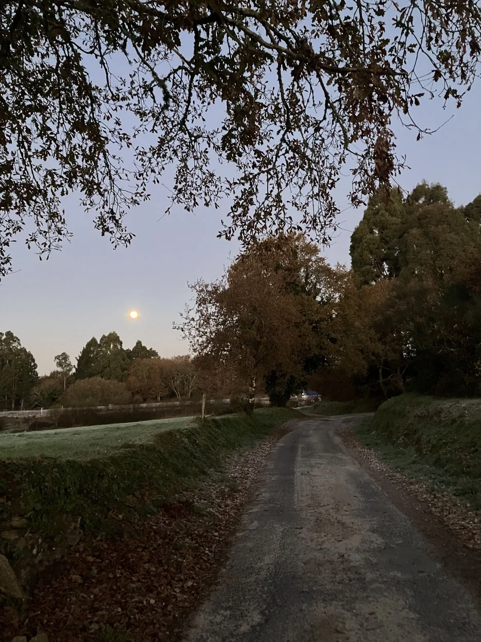 IMG_9097.jpg?type=w1