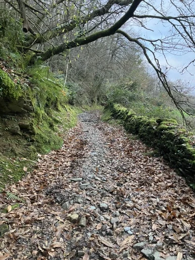 IMG_8190.jpg?type=w386