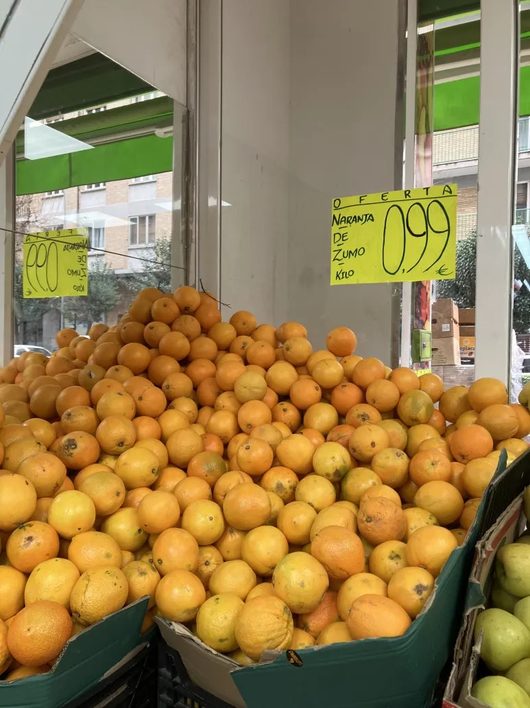 IMG_2204.jpg?type=w773