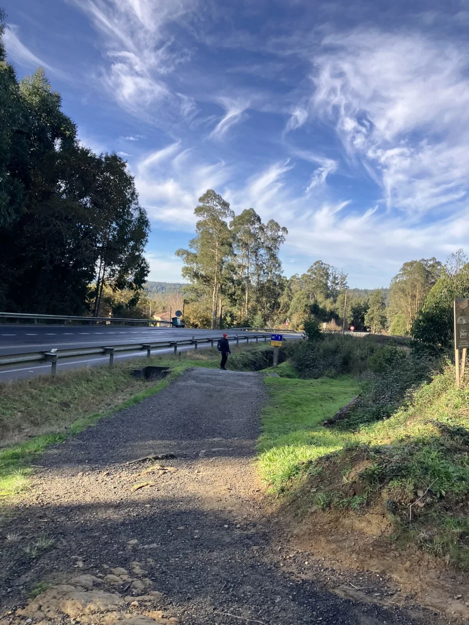 IMG_9607.jpg?type=w1