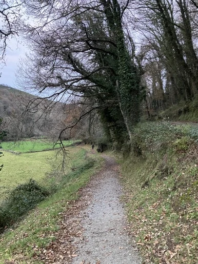 IMG_8182.jpg?type=w386