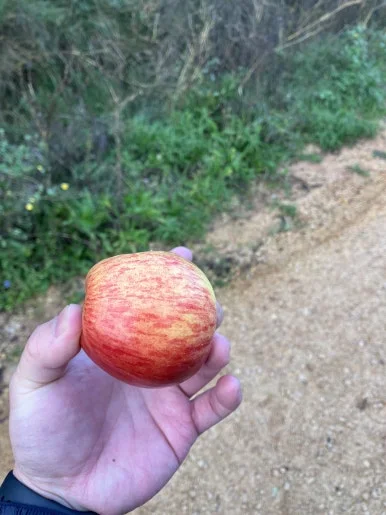 IMG_2437.jpg?type=w386