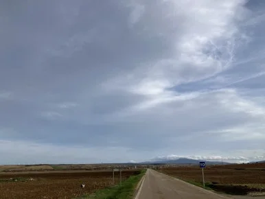 IMG_3684.jpg?type=w386