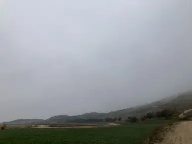 IMG_4671.jpg?type=w386