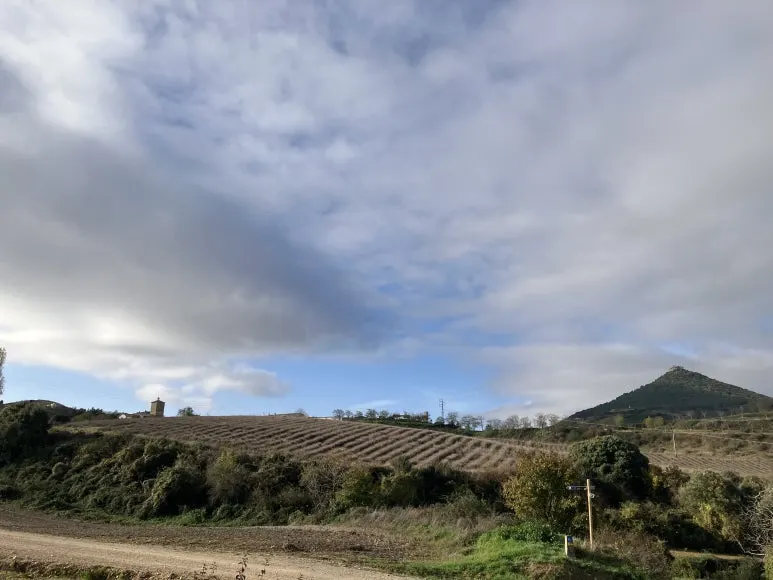 IMG_2609.jpg?type=w773