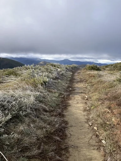 IMG_6979.jpg?type=w386