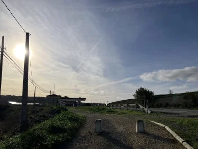 IMG_3517.jpg?type=w386