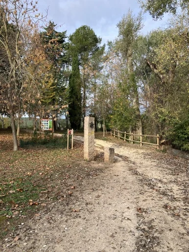 IMG_2984.jpg?type=w386