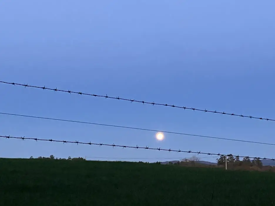 IMG_9448.jpg?type=w1