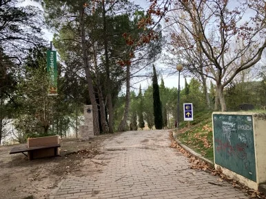 IMG_2985.jpg?type=w386