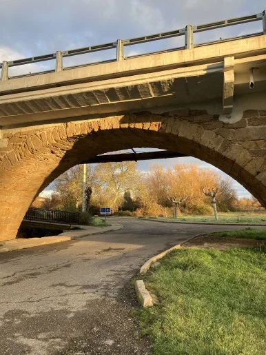 IMG_5525.jpg?type=w386