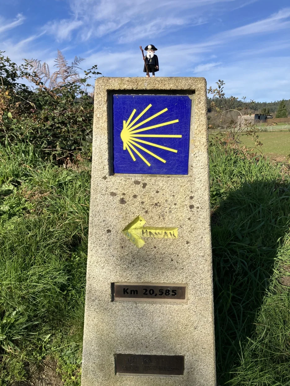 IMG_9616.jpg?type=w1