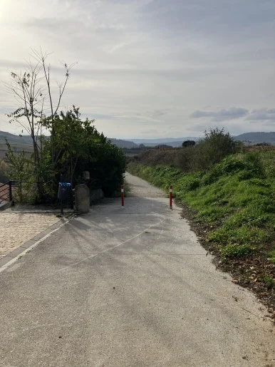 IMG_2406.jpg?type=w386