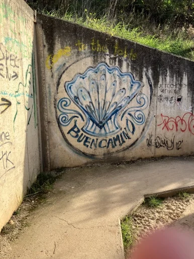 IMG_2869.jpg?type=w386