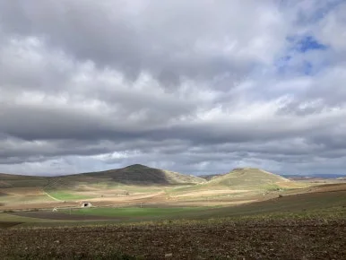 IMG_3426.jpg?type=w386