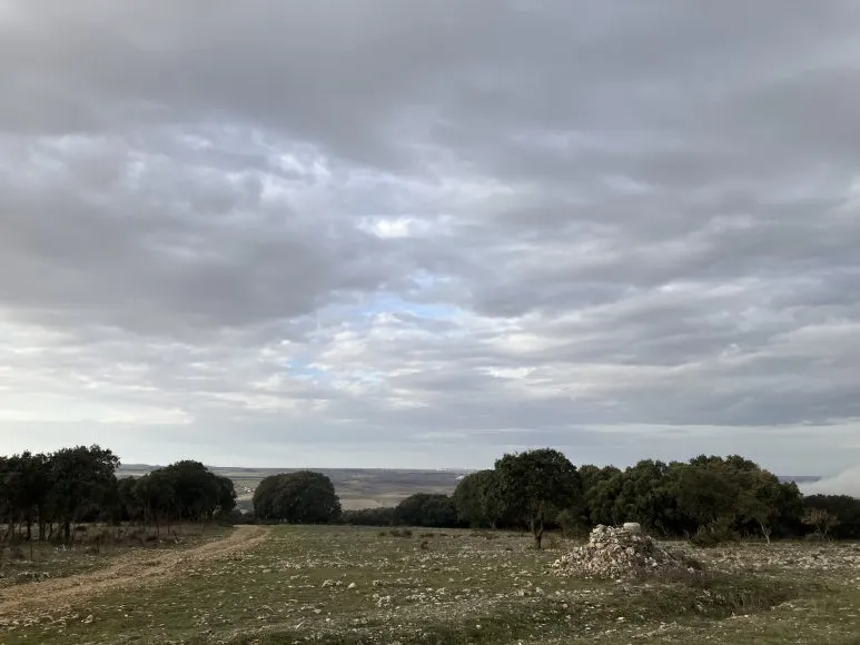 IMG_3765.jpg?type=w773