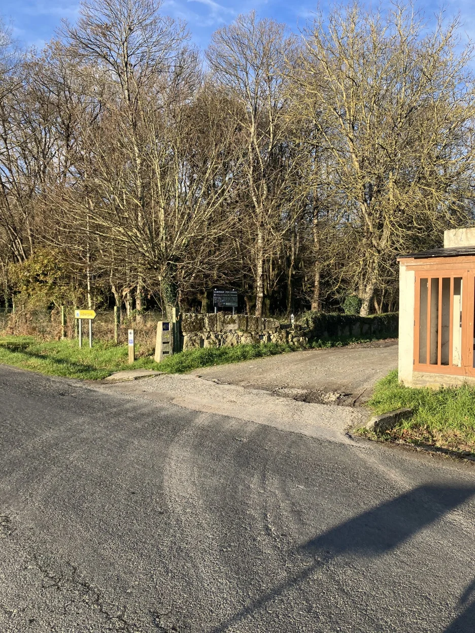 IMG_8497_2.jpg?type=w1