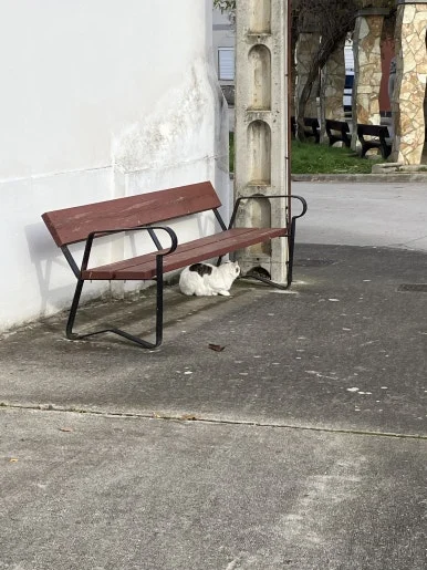 IMG_7408.jpg?type=w386