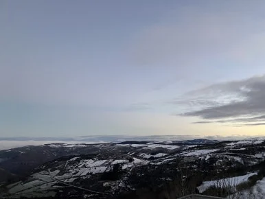 IMG_7916.jpg?type=w386