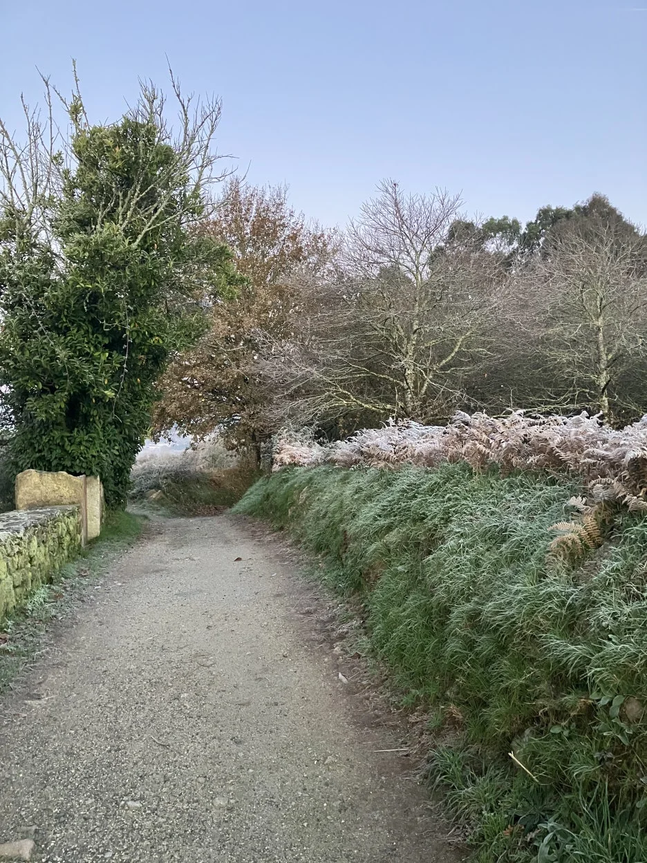 IMG_9112.jpg?type=w1