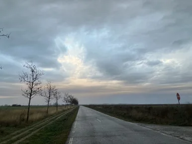 IMG_5362.jpg?type=w386