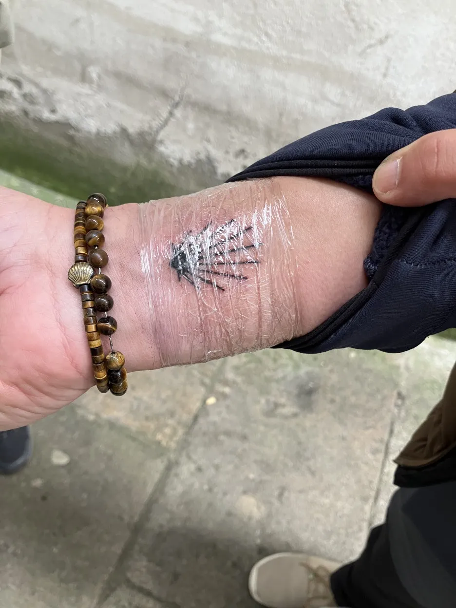 IMG_0005.jpg?type=w1