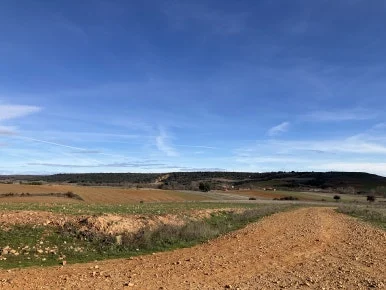 IMG_6372.jpg?type=w386