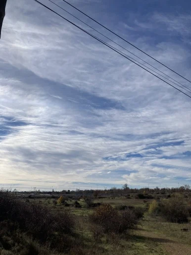 IMG_6056.jpg?type=w386