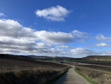 IMG_3354.jpg?type=w386