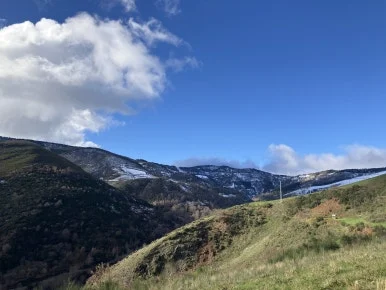 IMG_7766.jpg?type=w386