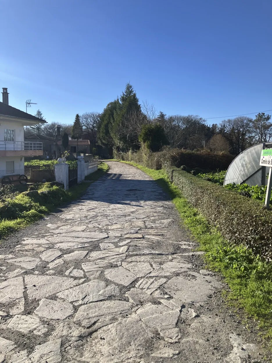 IMG_9017.jpg?type=w1