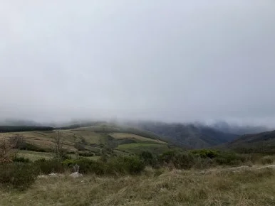 IMG_6888.jpg?type=w386