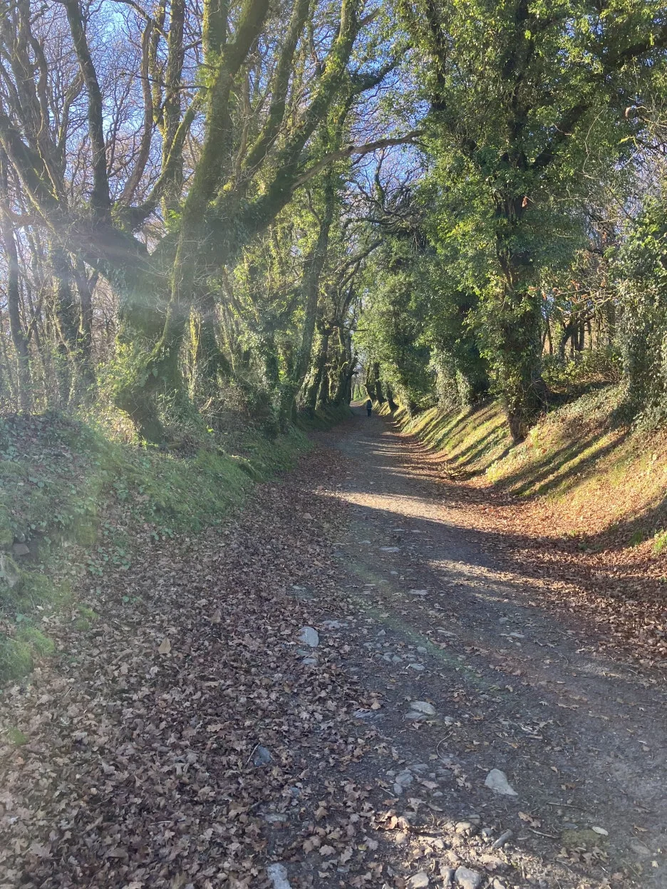 IMG_9009.jpg?type=w1