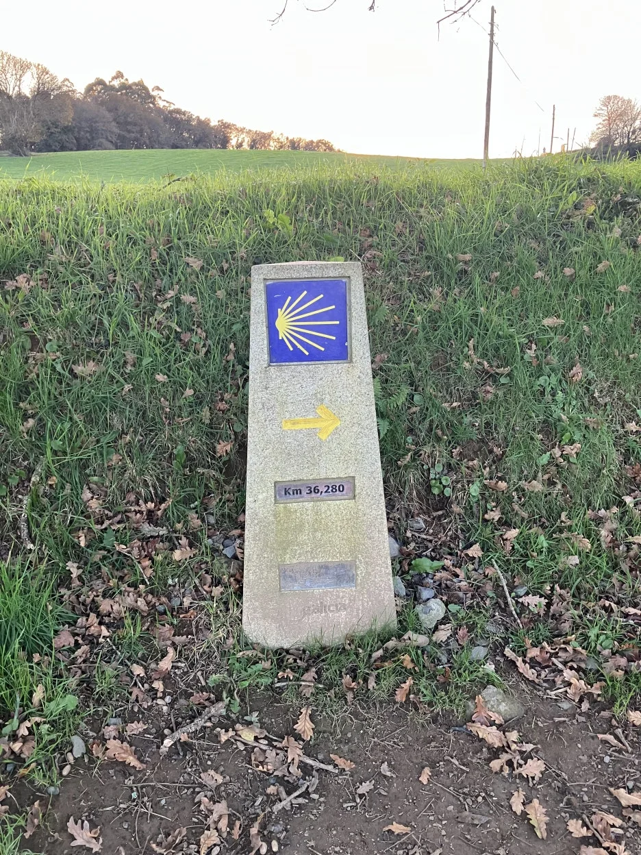 IMG_9424.jpg?type=w1