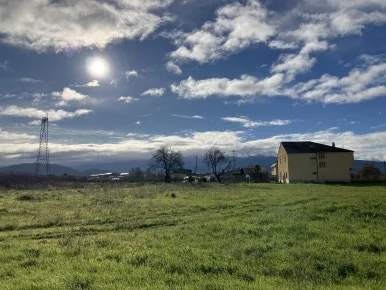 IMG_7401.jpg?type=w386