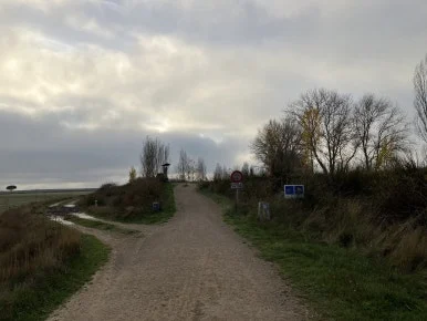 IMG_4748.jpg?type=w386