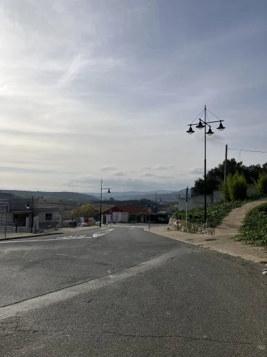 IMG_2404.jpg?type=w386