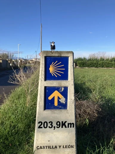 IMG_7394.jpg?type=w386