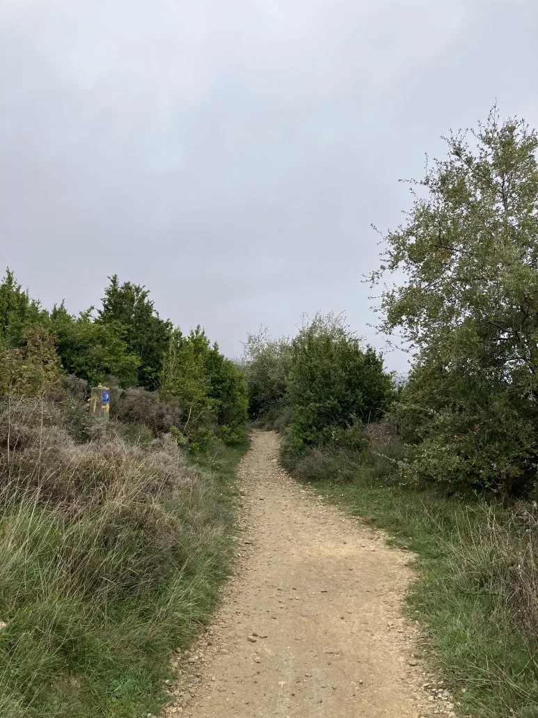 IMG_2350.jpg?type=w773