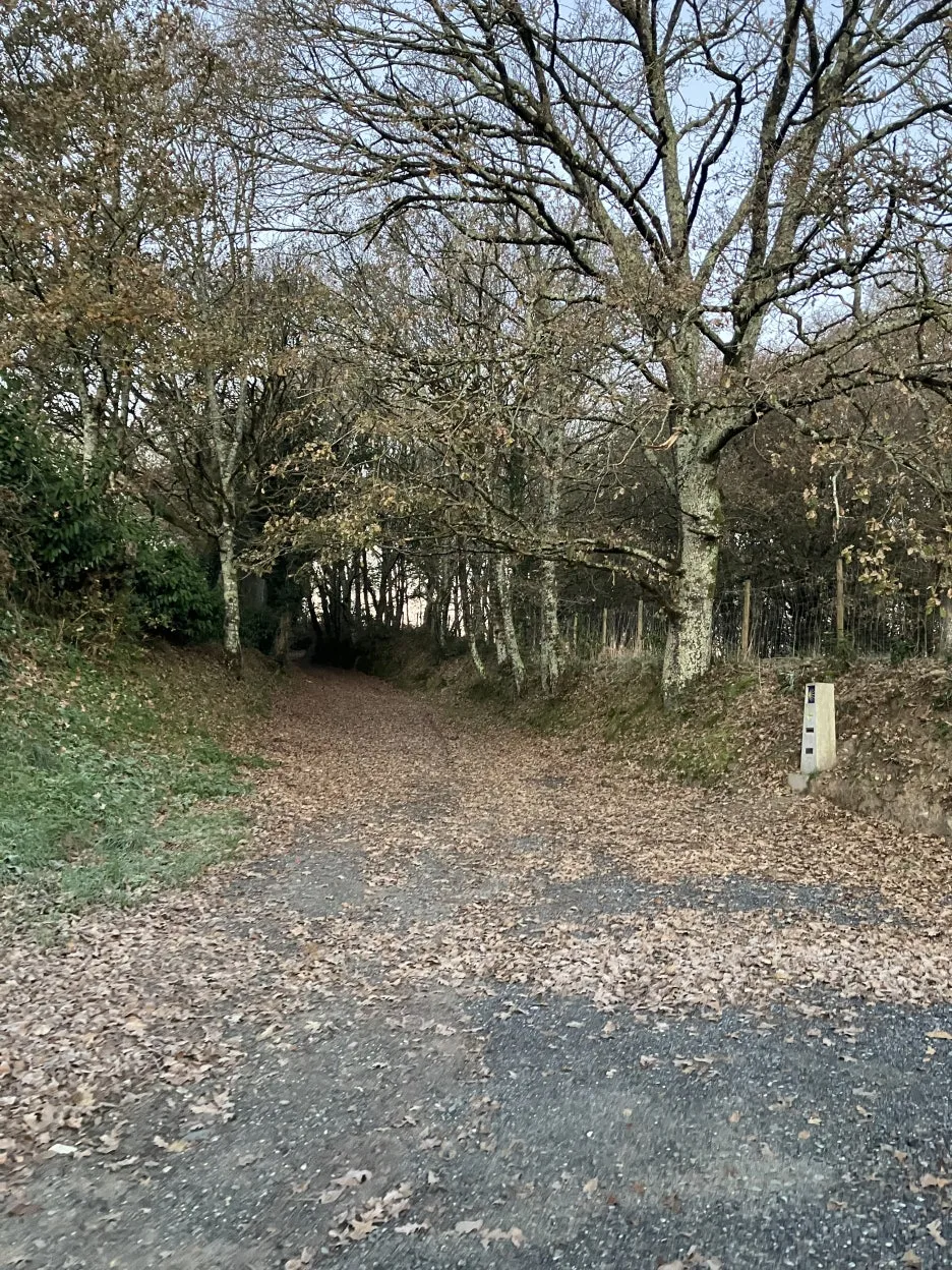 IMG_9119.jpg?type=w1