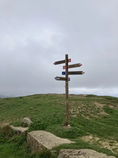 IMG_2362.jpg?type=w386