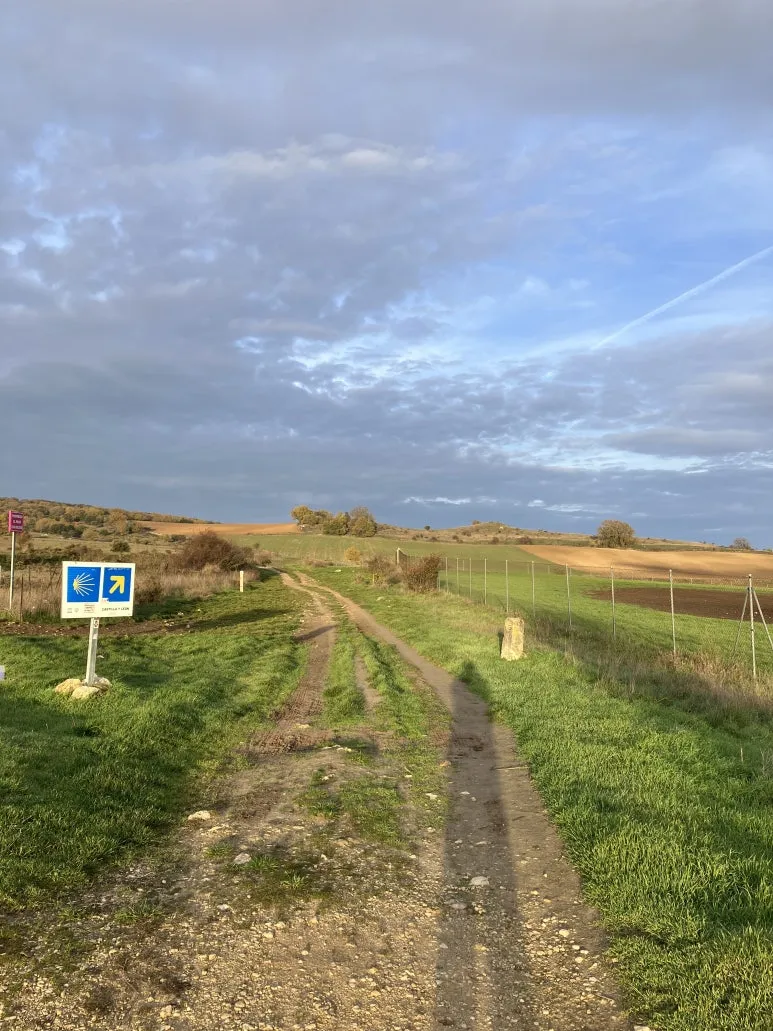 IMG_3751.jpg?type=w773