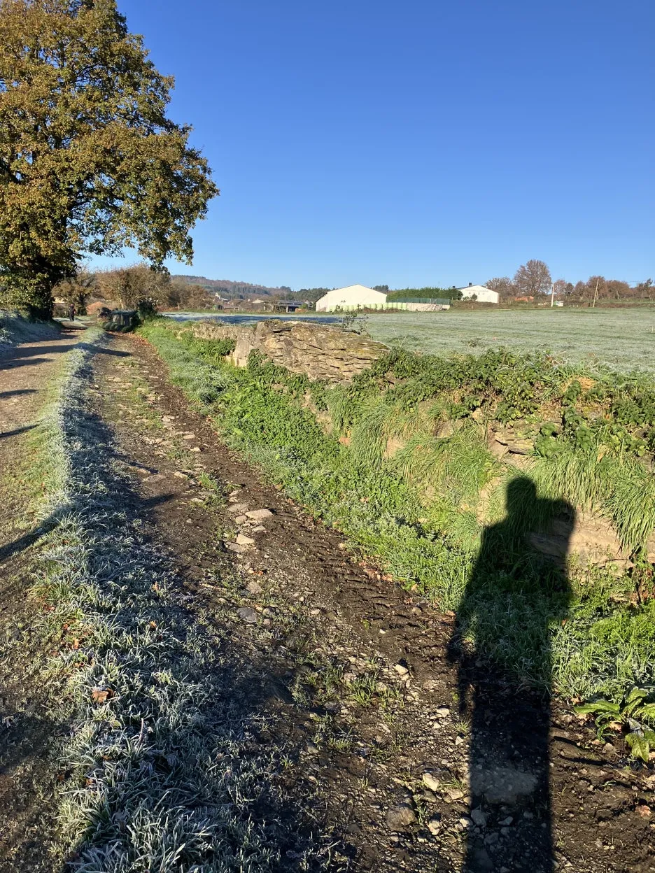 IMG_8849.jpg?type=w1