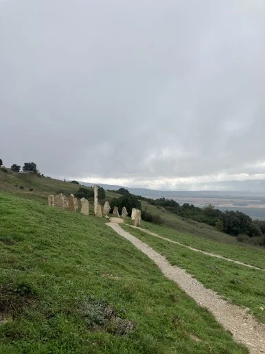 IMG_2361.jpg?type=w386