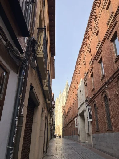 IMG_5810.jpg?type=w386